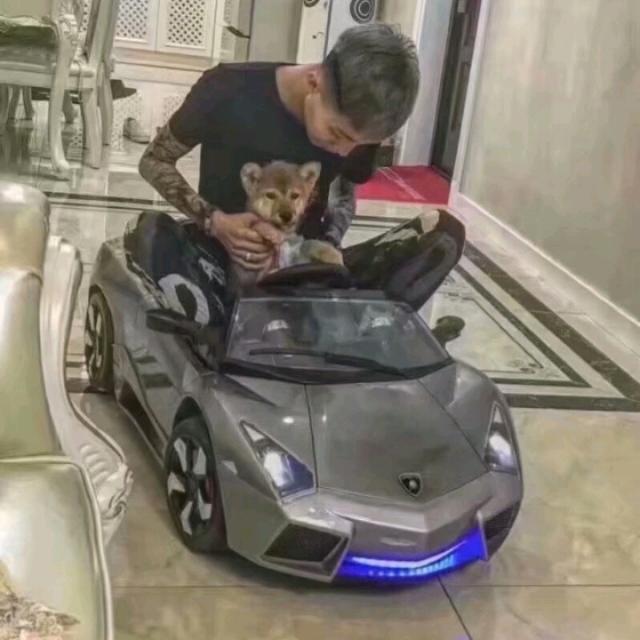 我问佛（这个劫我该怎么度过）