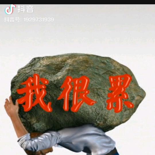 快乐每一天