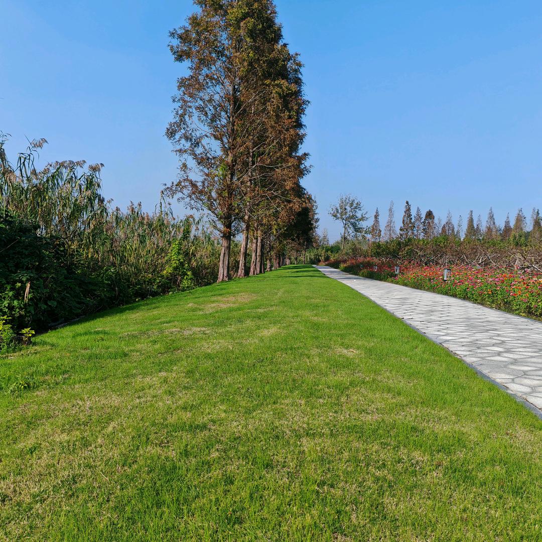 宿豫    宿洁服务