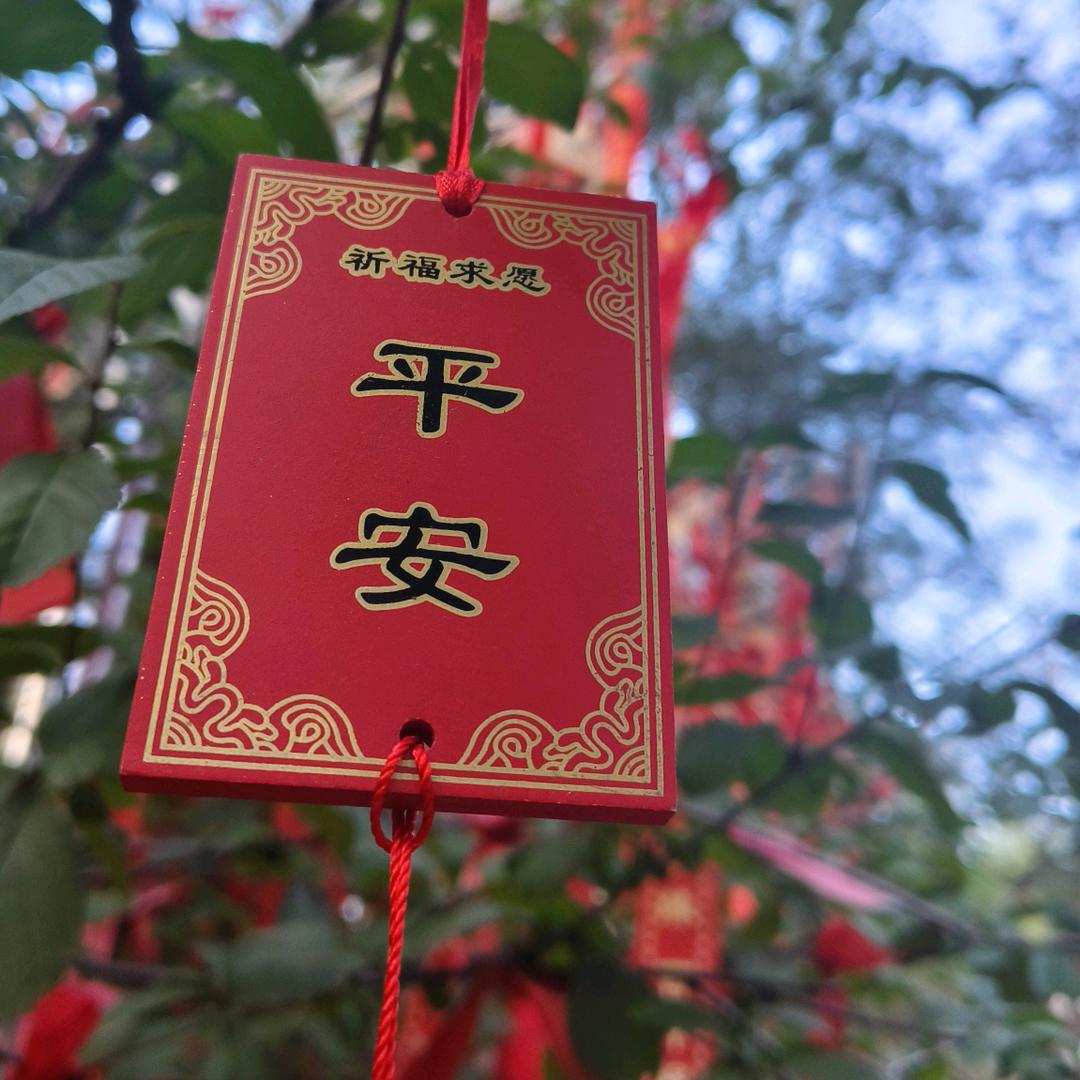 丽儿