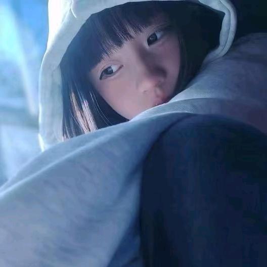 徽少
