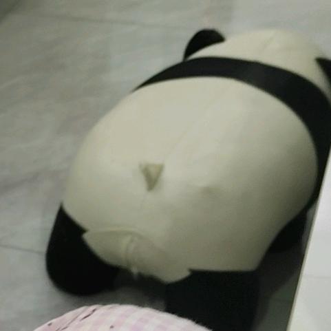熊猫🐱