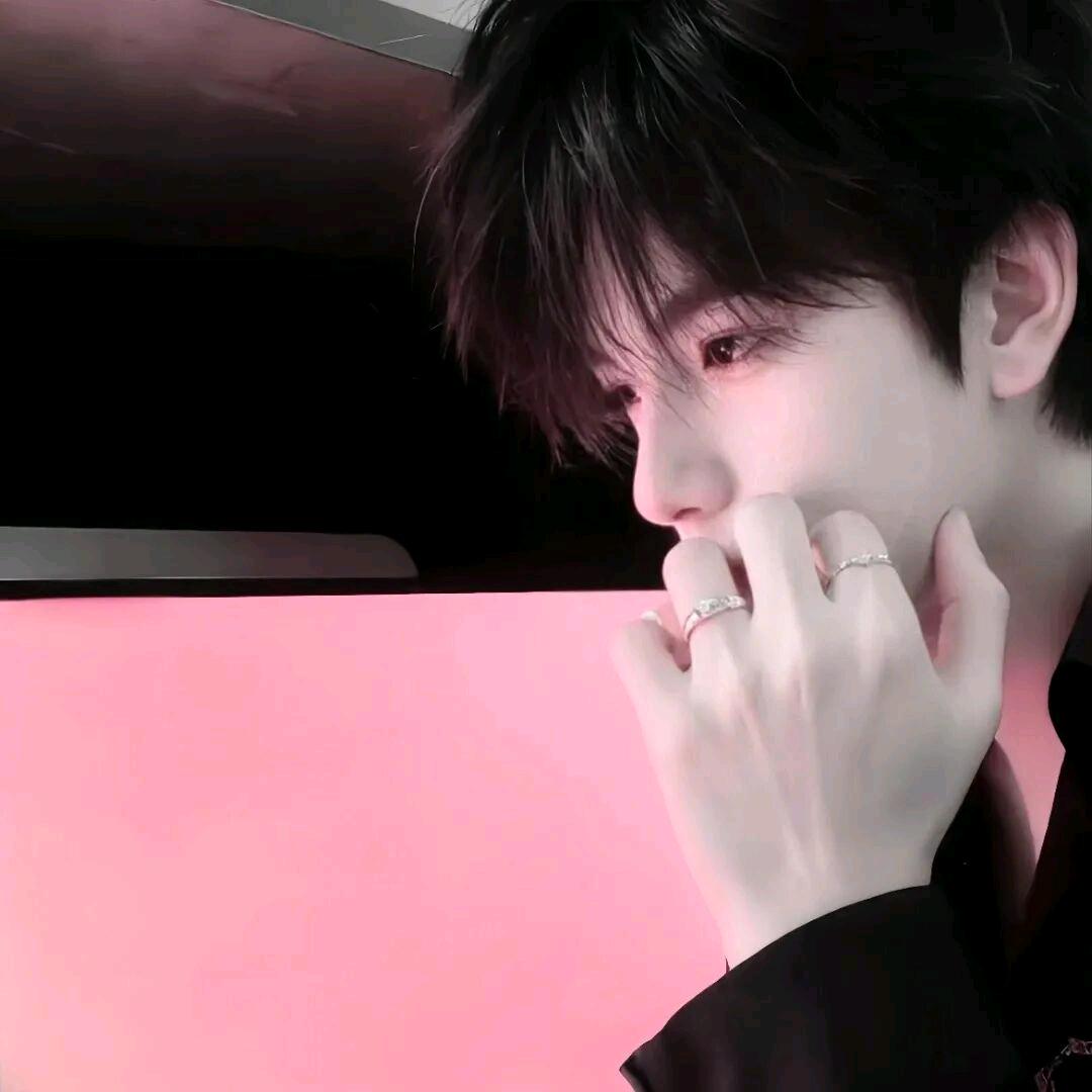 鲨齿