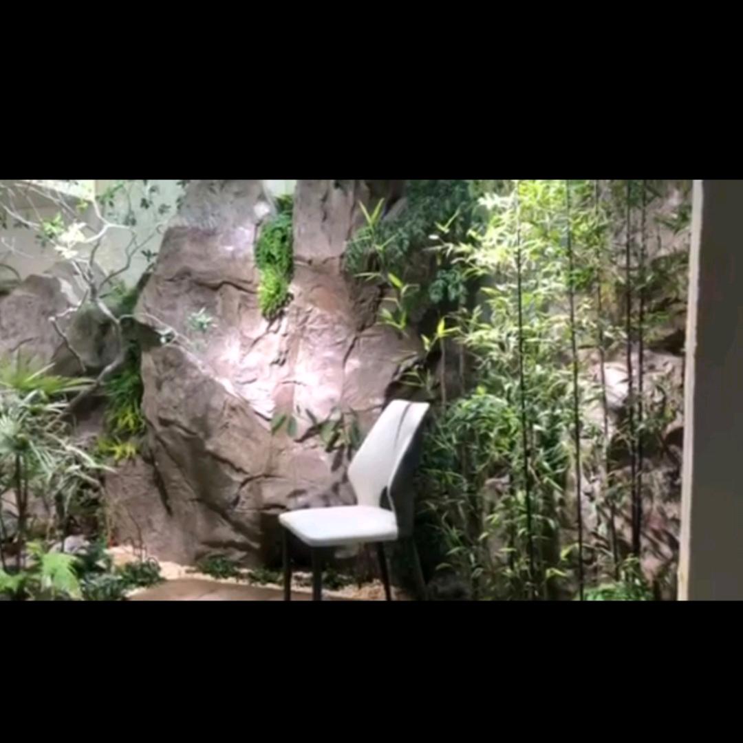 郑州欧诺园林假山假树工程有限公司