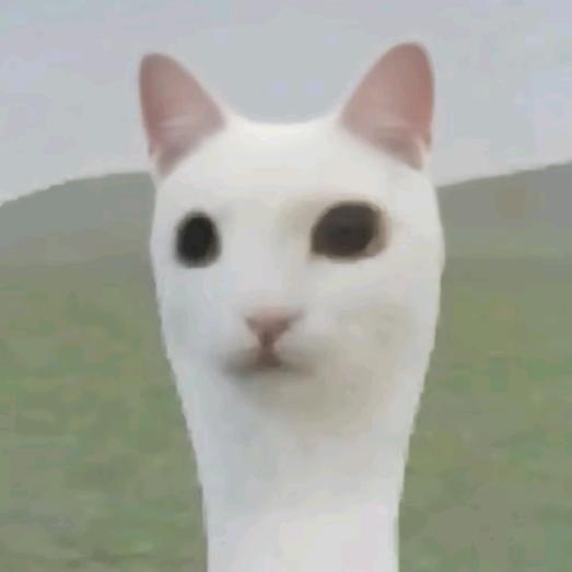 芋什么泥Q
