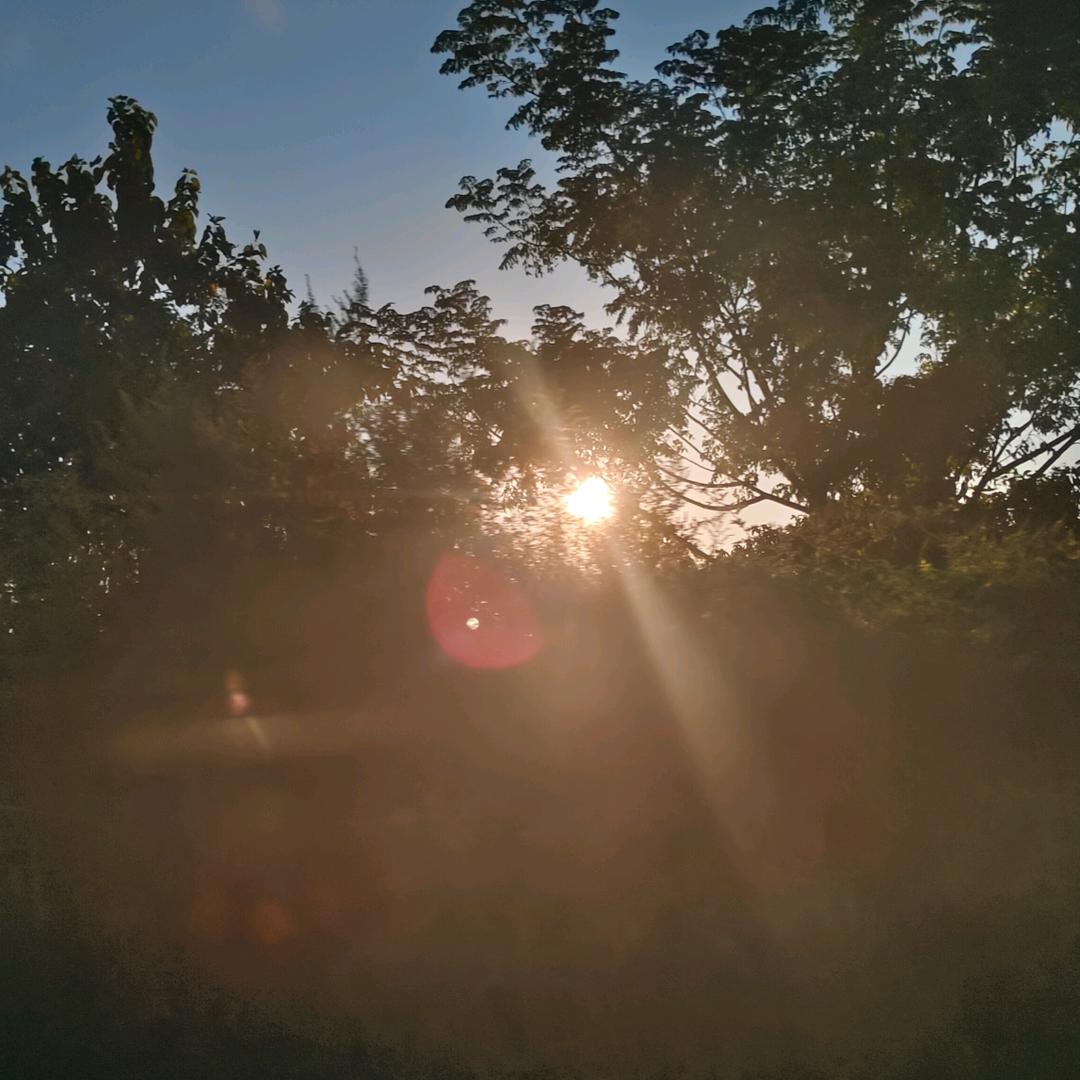 蜜宝