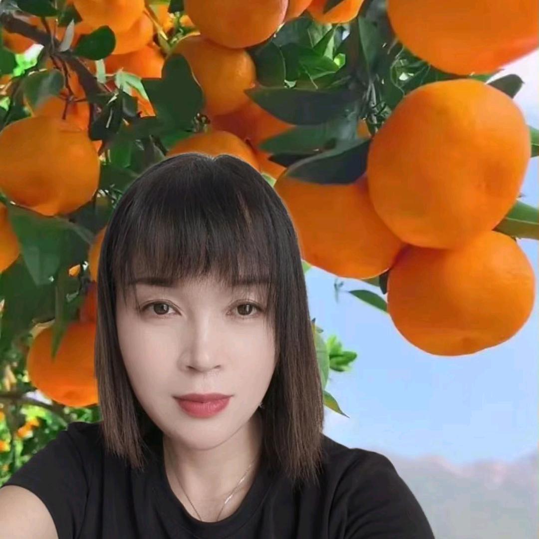 倩姐