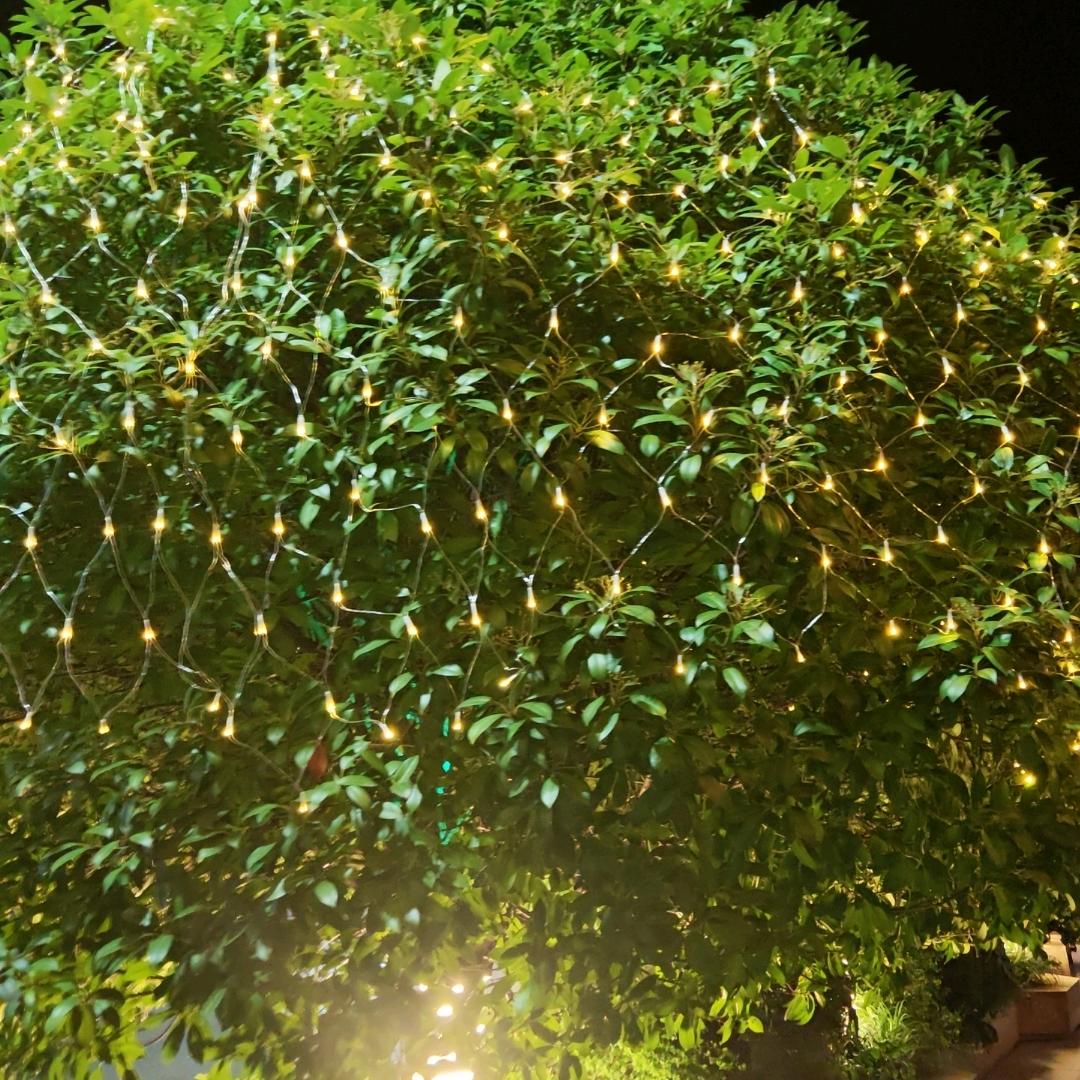 王一