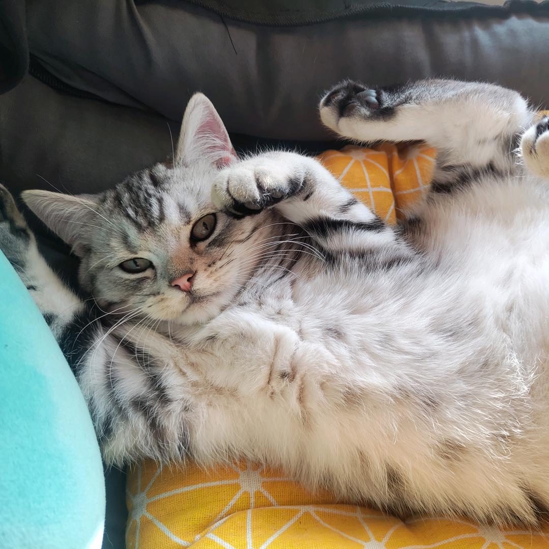 Yo🍒（见过鹿晗、张艺兴版）