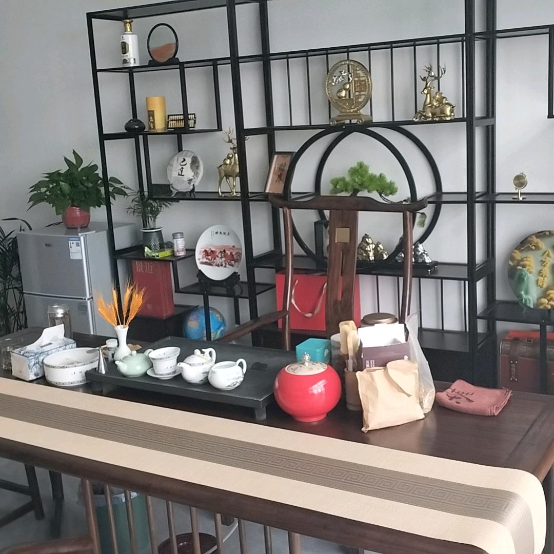 日月同辉.人民名义