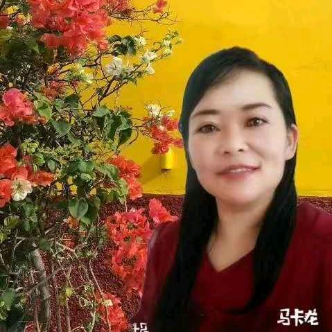 🌹相濡以沫🌹