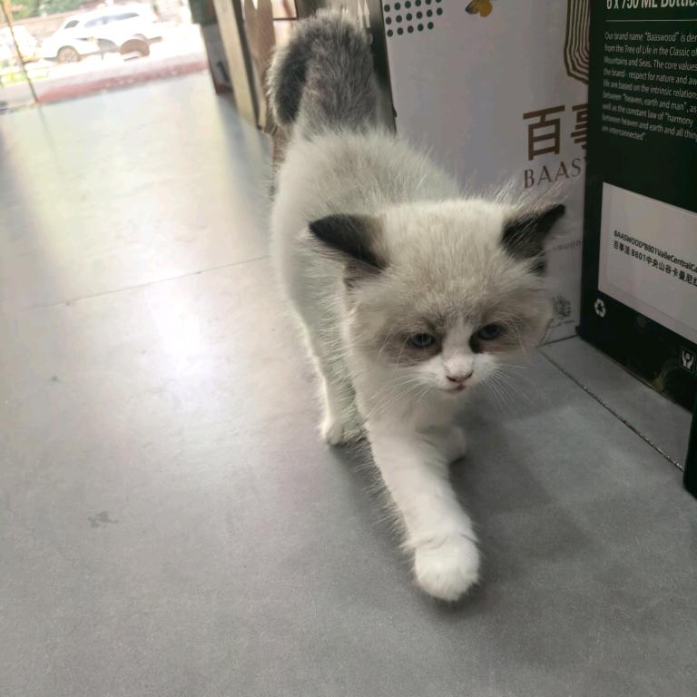 裂缝中的阳光