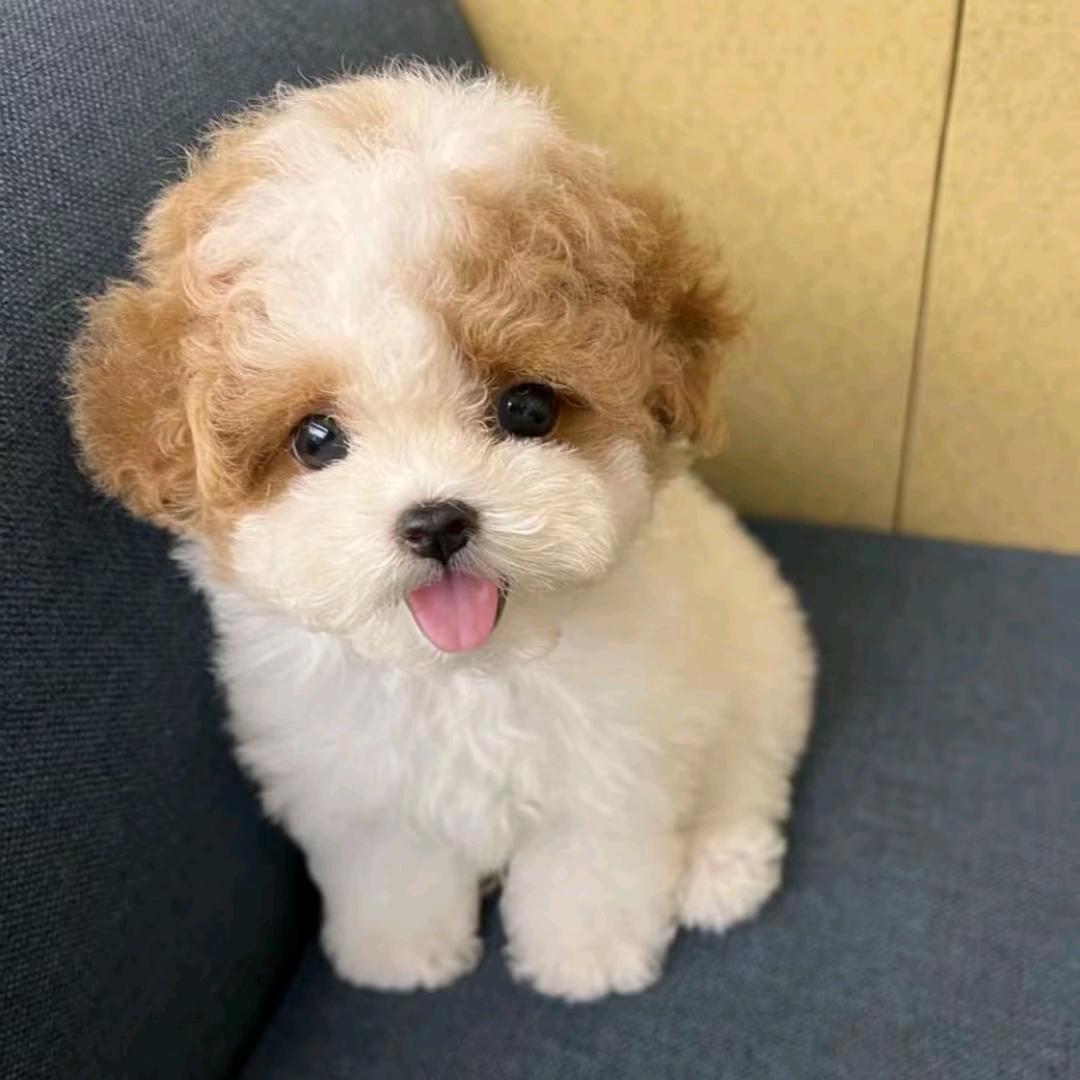 有点烦