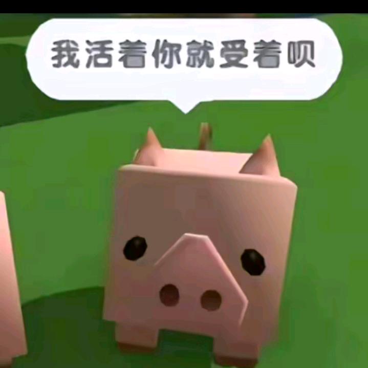 护峰（纯音）