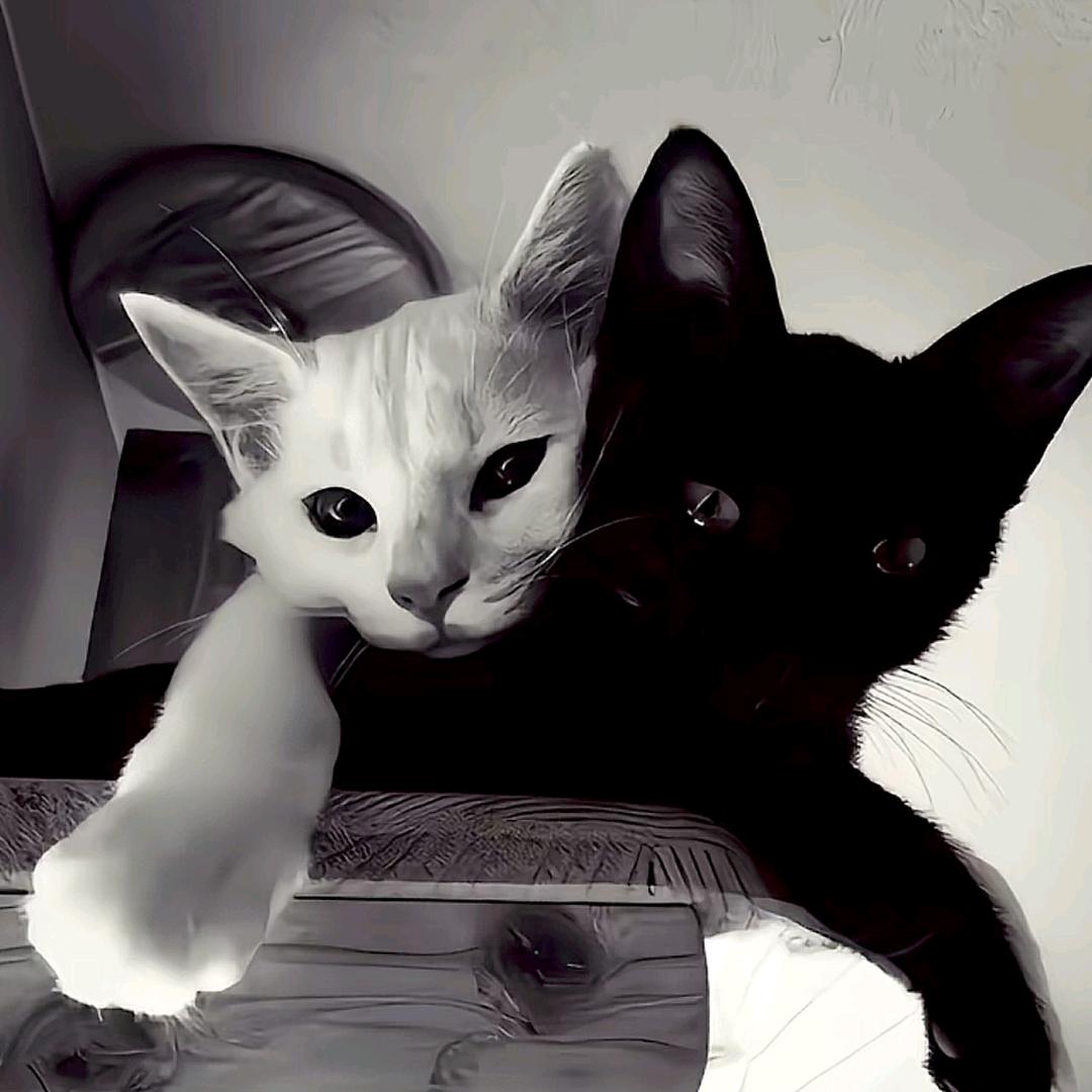 陈溪