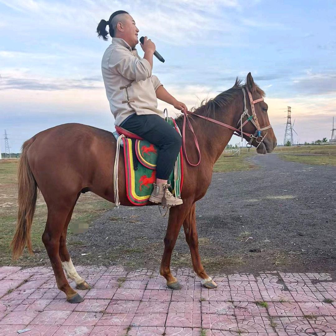 包特🔱MONGOL