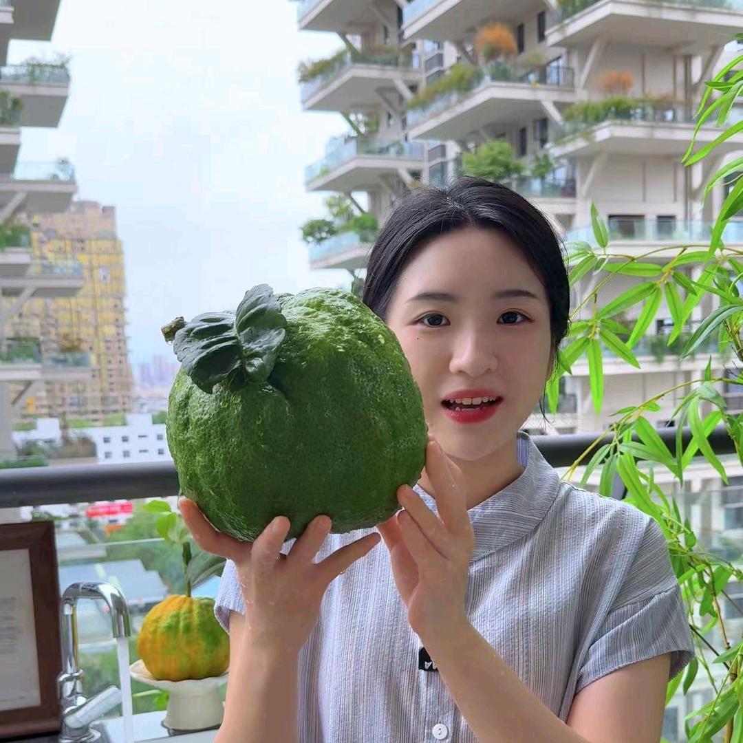 花忆森海香橼基地