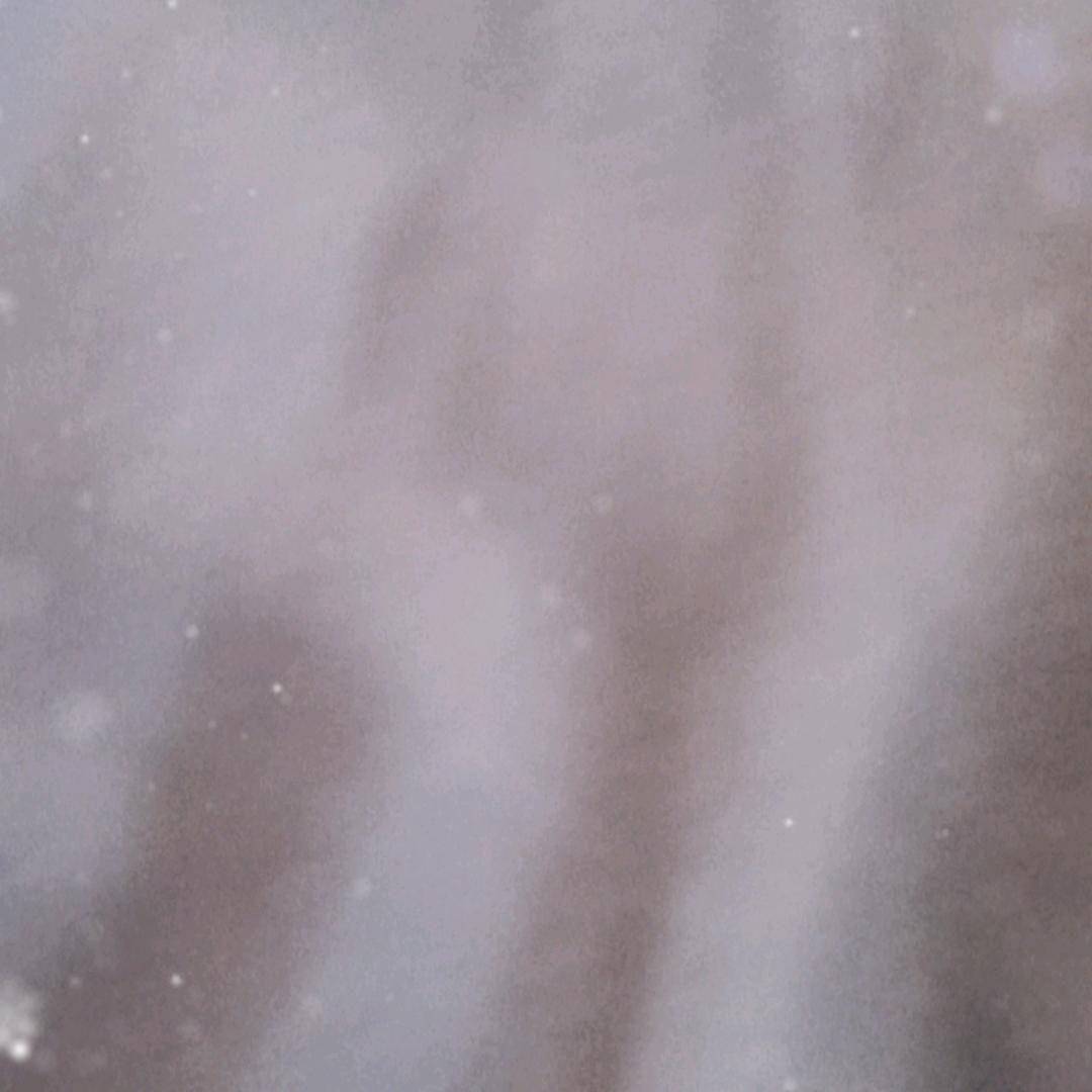 小朱——收售各类淡水鱼