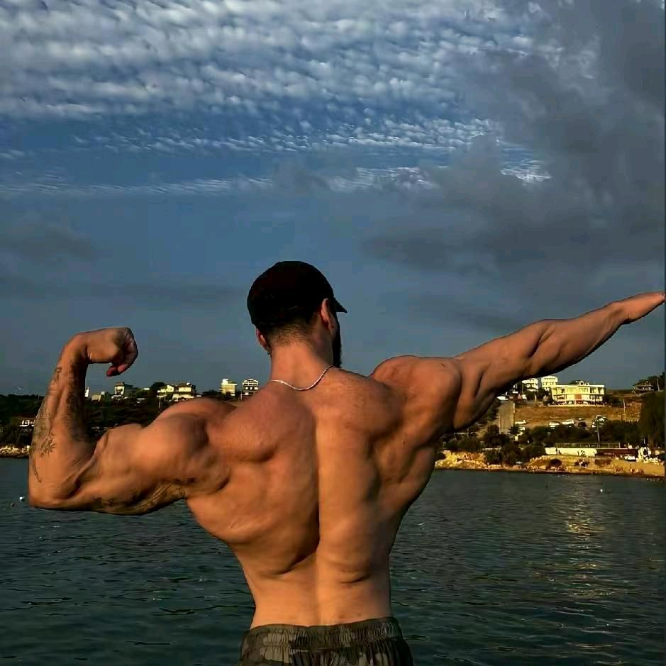 只吃蛋白粉（训练）