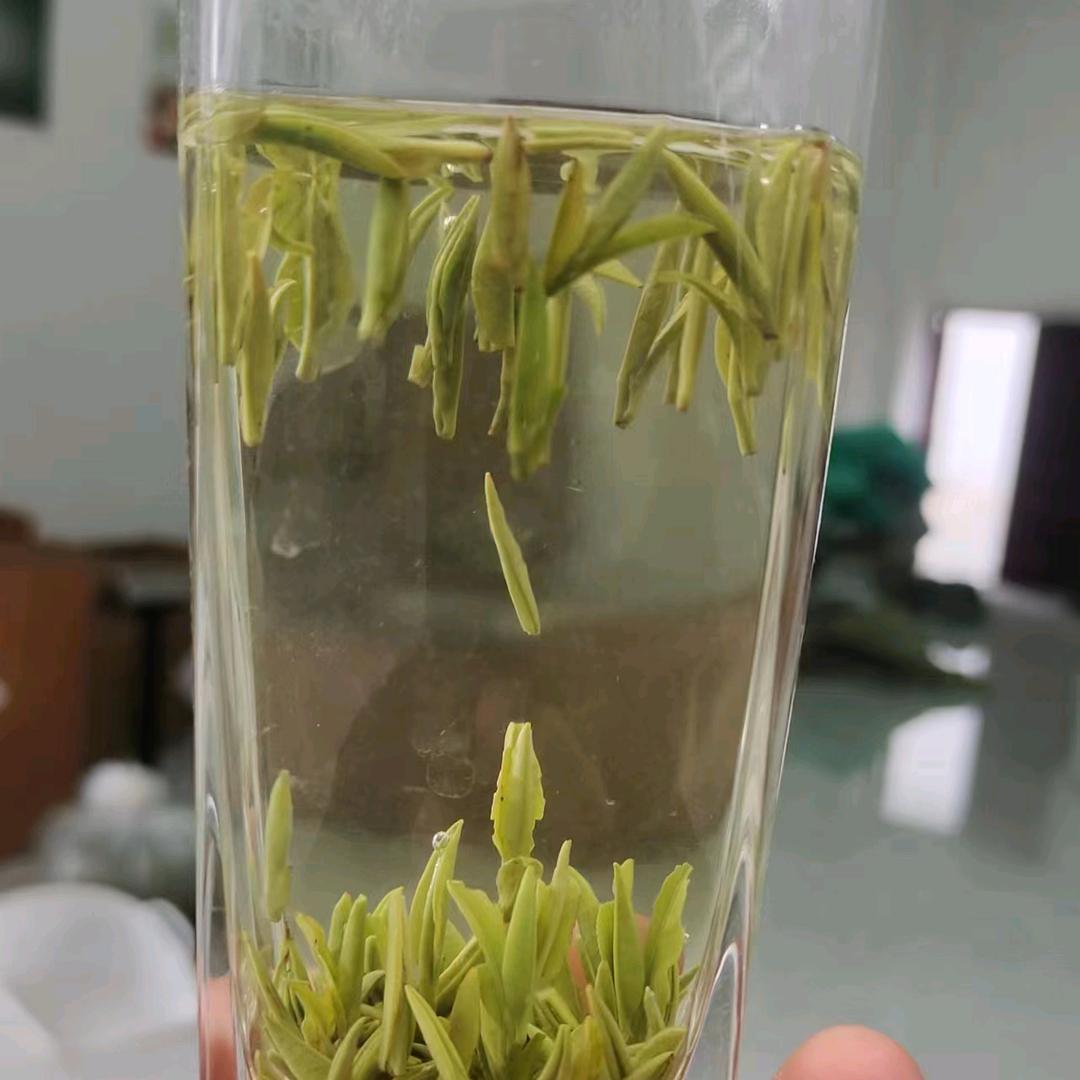 茶叶小波哥
