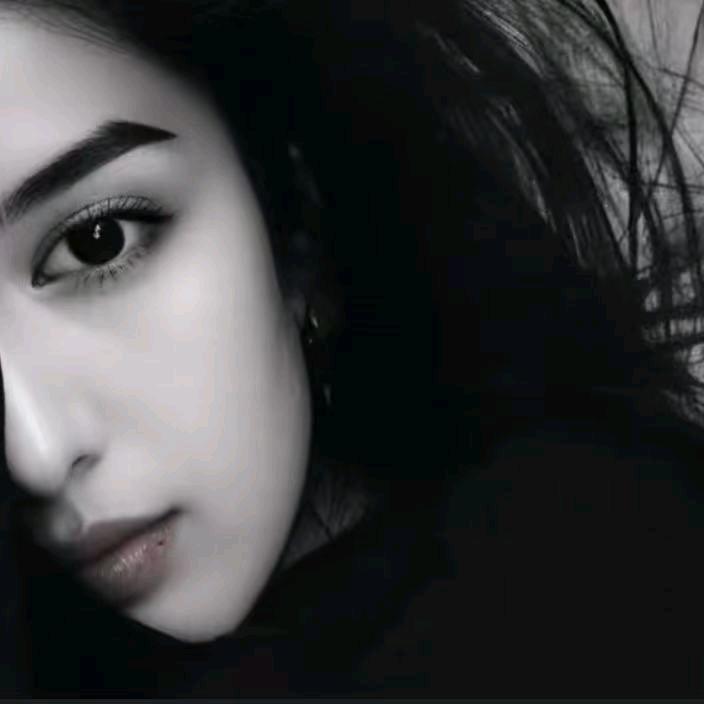 zulfi 橱窗用品小号