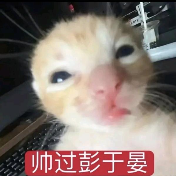 螺蛳粉批发老李（沉淀ing