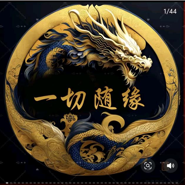孤狼啸天
