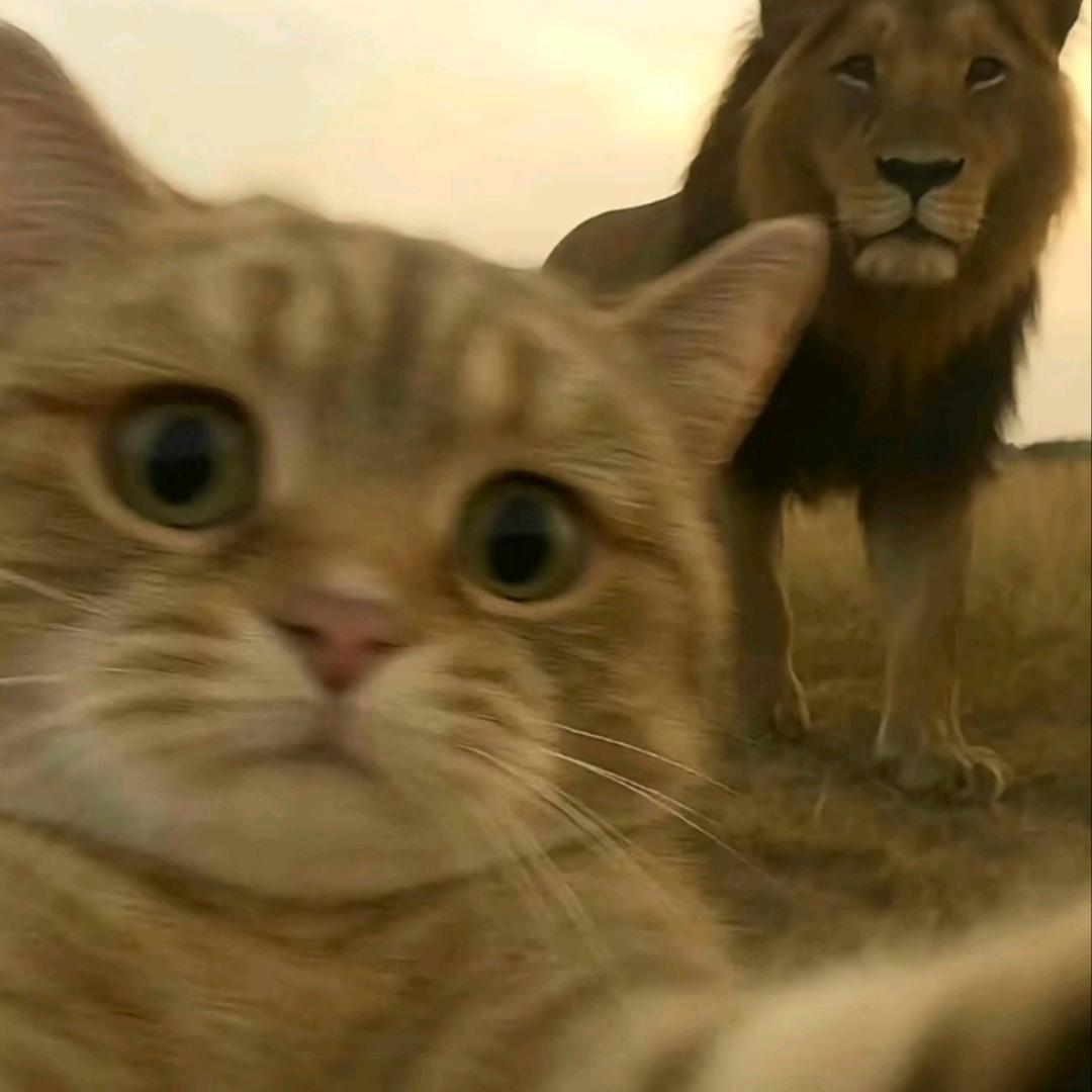 super邱（三角洲行动）