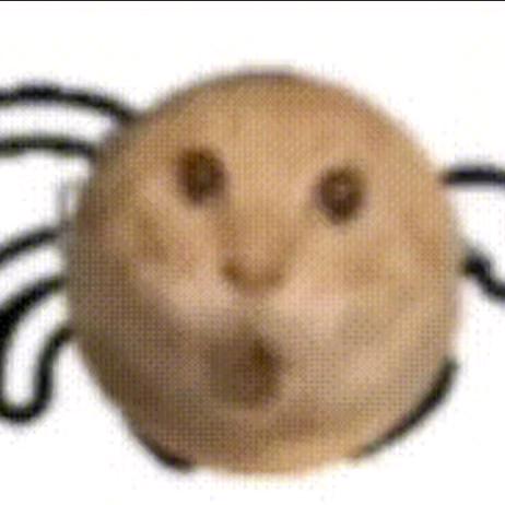 哈基米南北绿豆