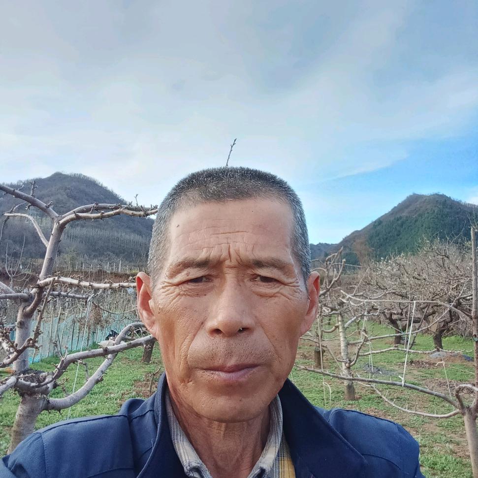 家和万事兴