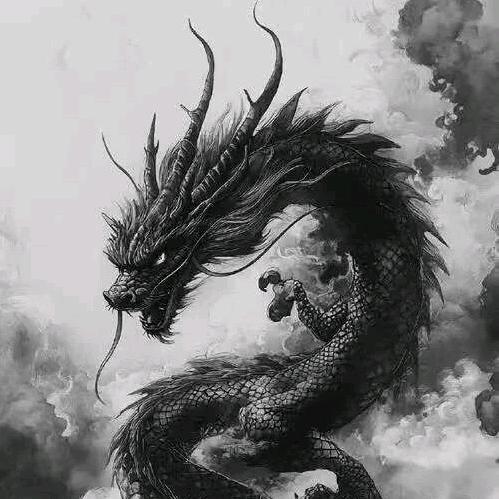 陕西黑龙