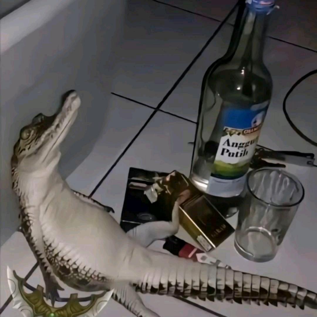 槐序