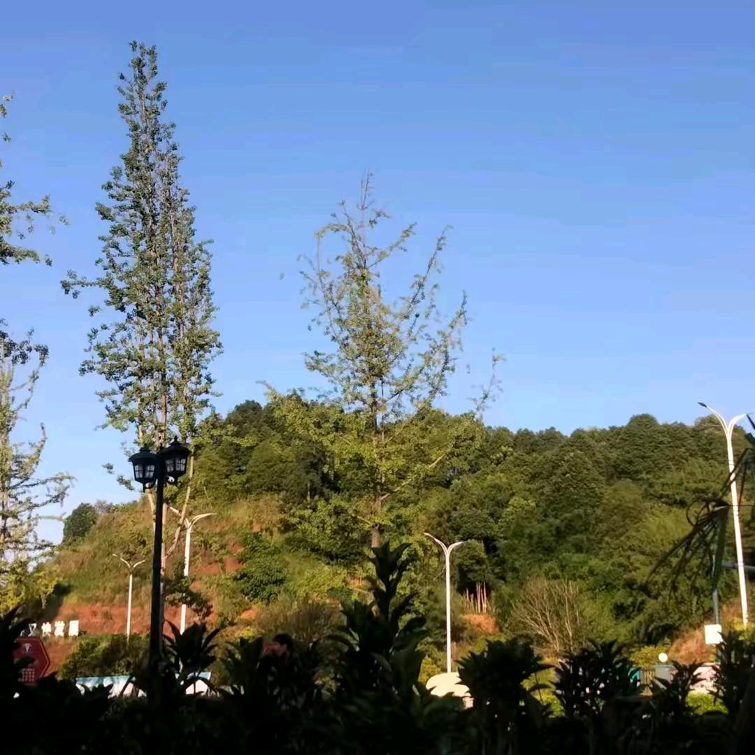 左右