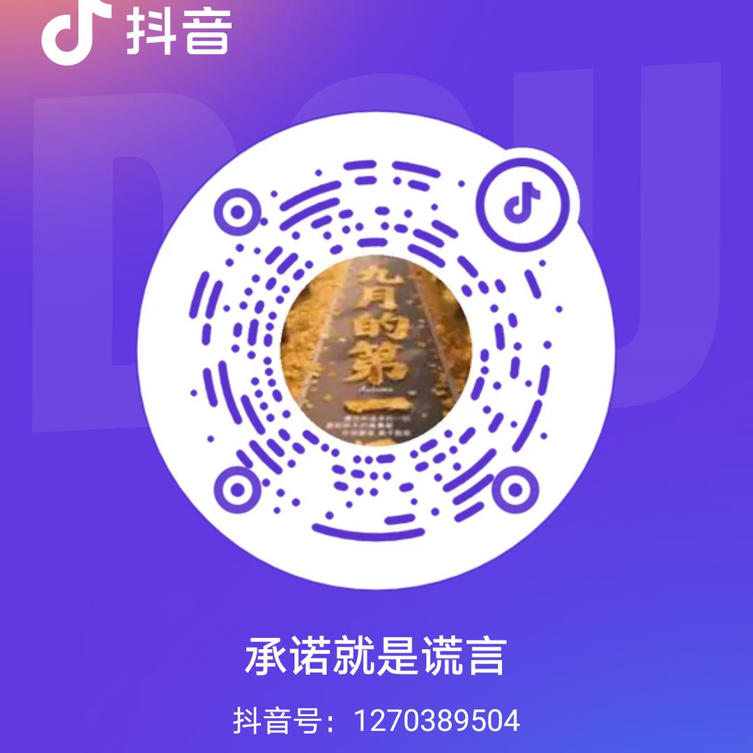 承诺就是谎言