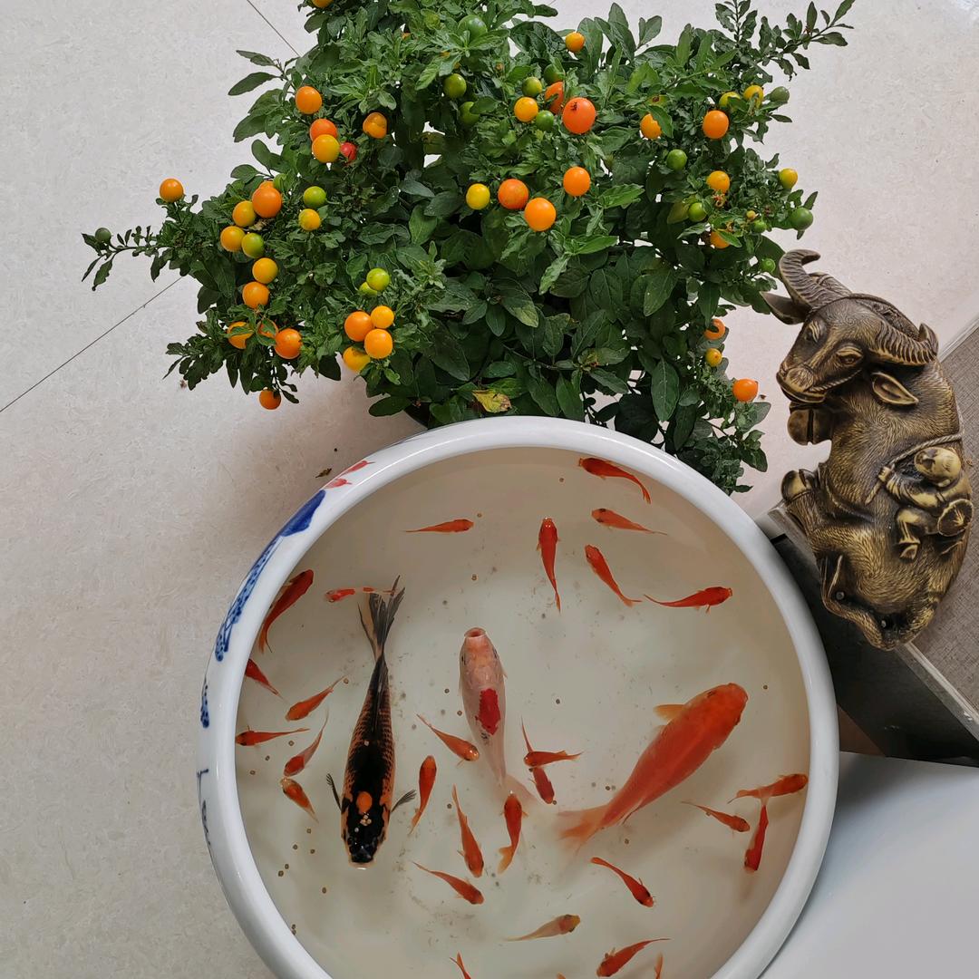 顺其自然