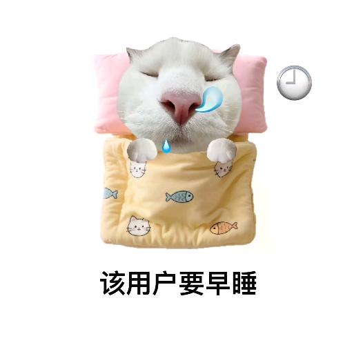 执裤子弟（不爱回消息版）