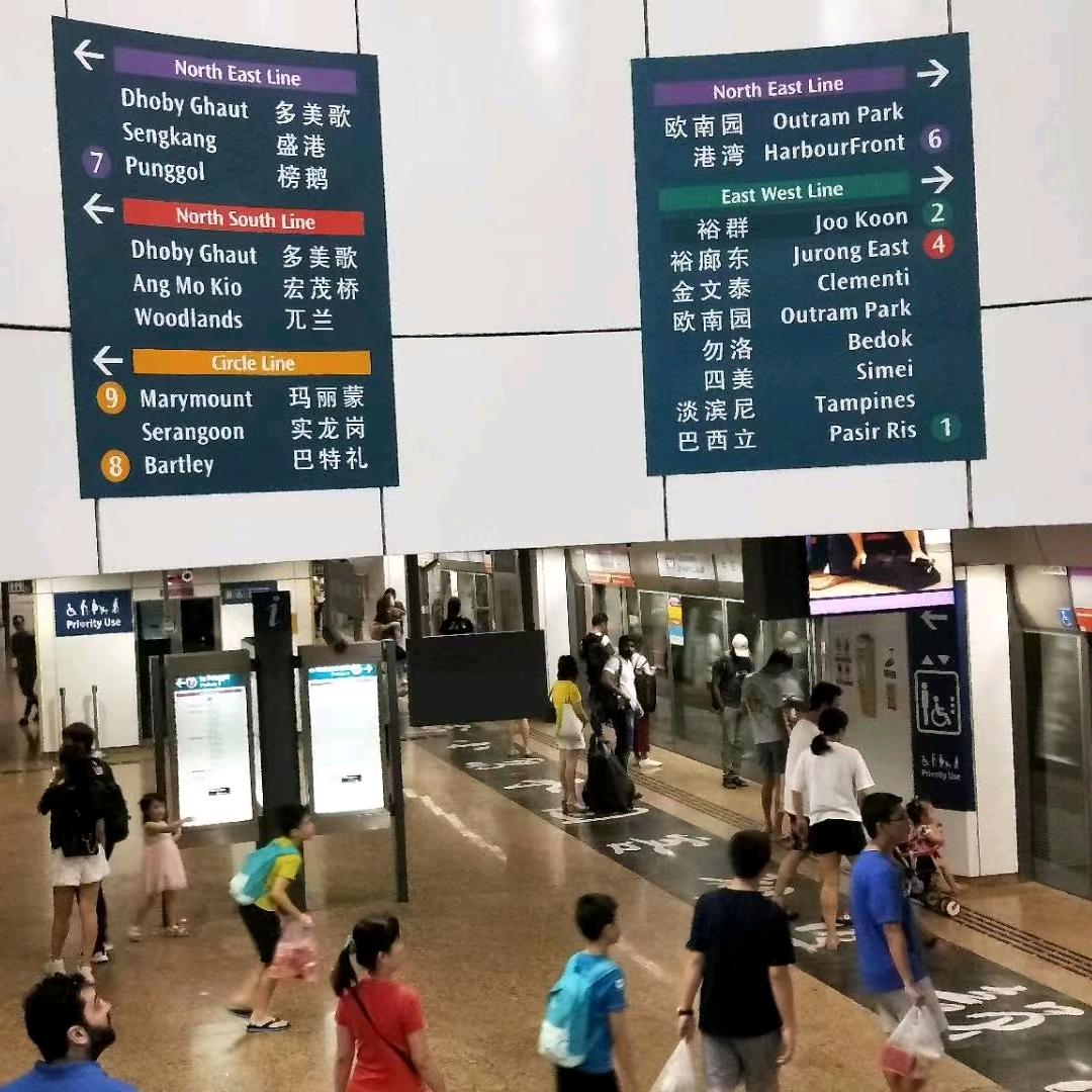 赵一鸣省钱超市张大林