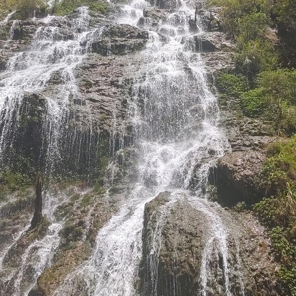 喜欢喝清晨的粥