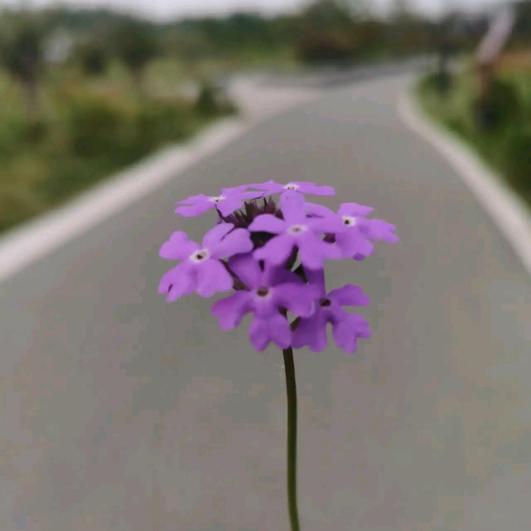 泉港抖音朋友圈