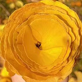❀ ͜҉: ꦿ໊涅槃ᝰꪊ༼重生℘࿐ᩚ