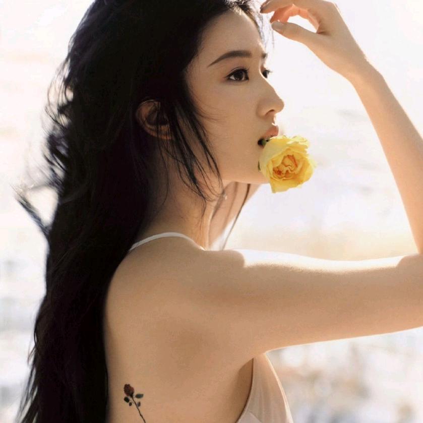 max香香(发疯日常)