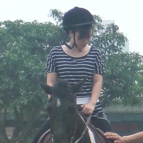 第六伦写作工作室（代写文章+PPT）