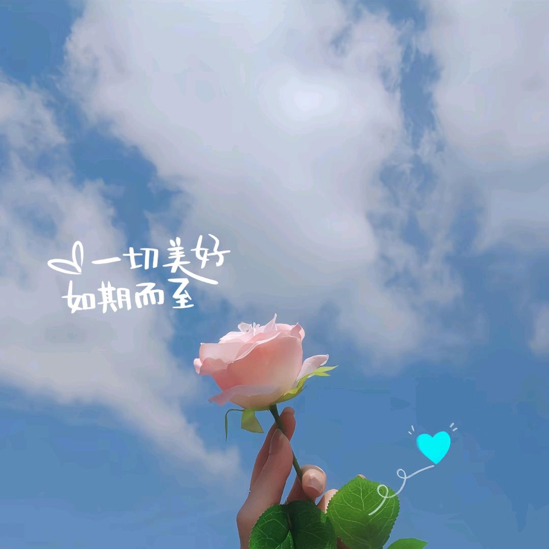 ˚𑁍ࠬ˚遗忘🌸