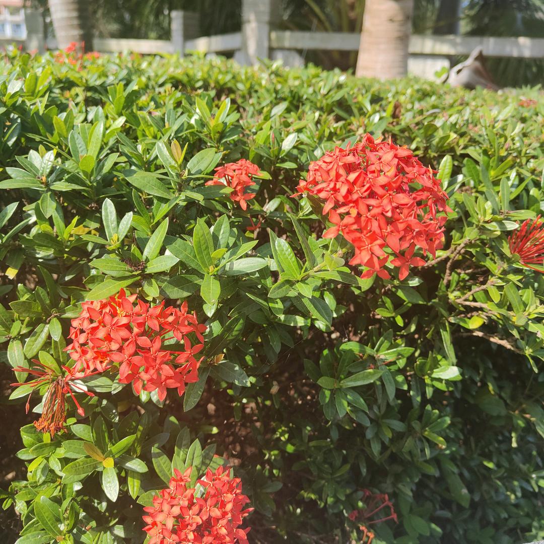 杭州固凌8专用号