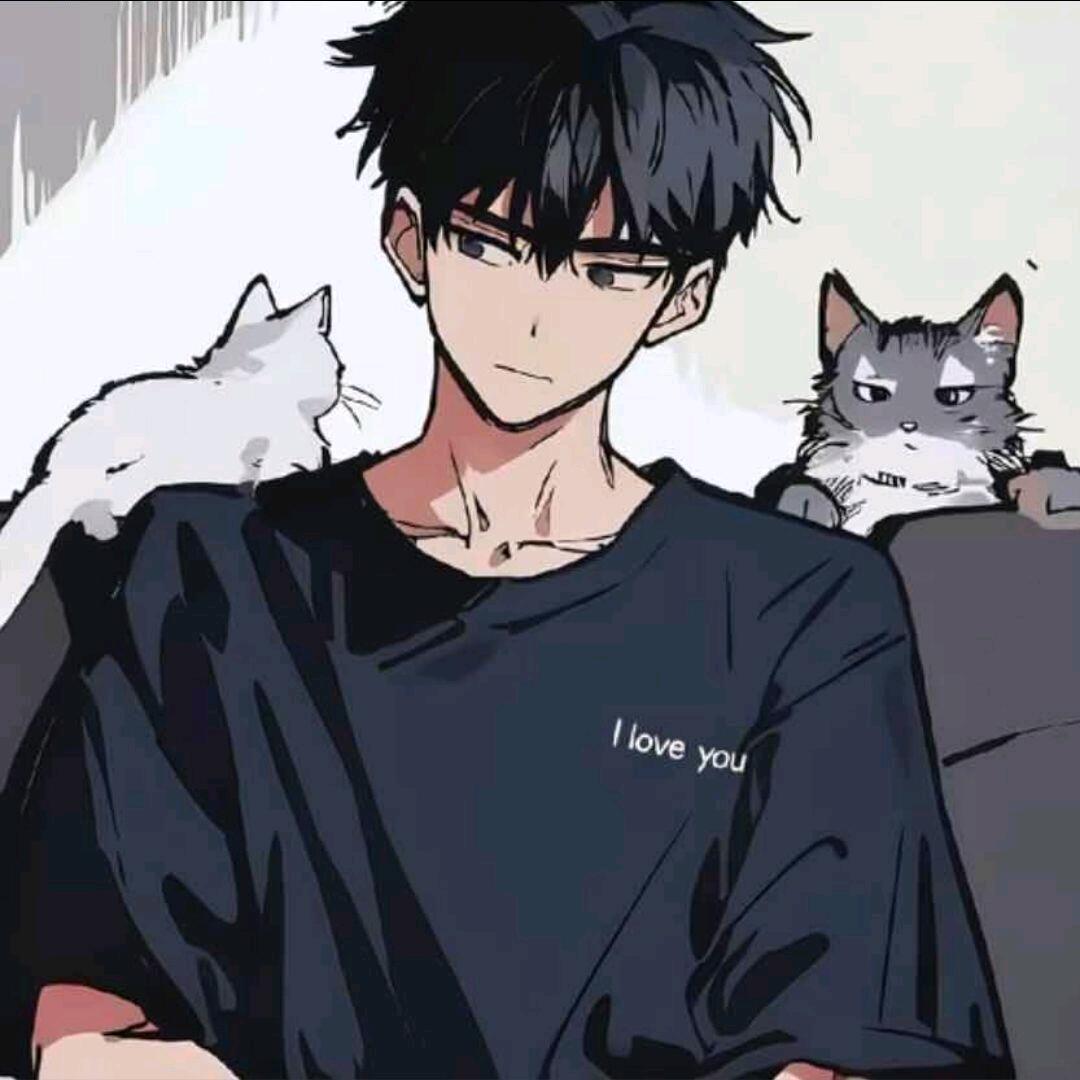 猫叔