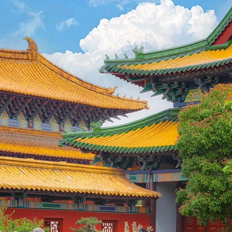 诚心诚意✨