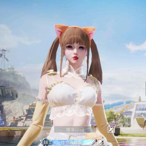 西瓜的西