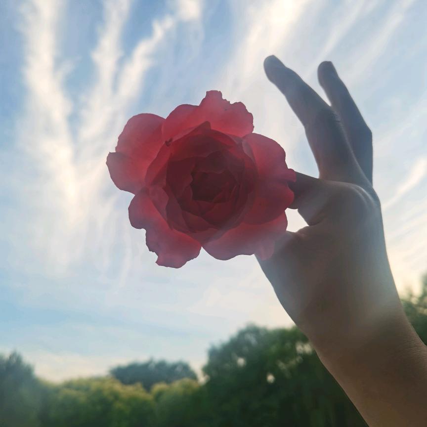 叫我女汉子就ok