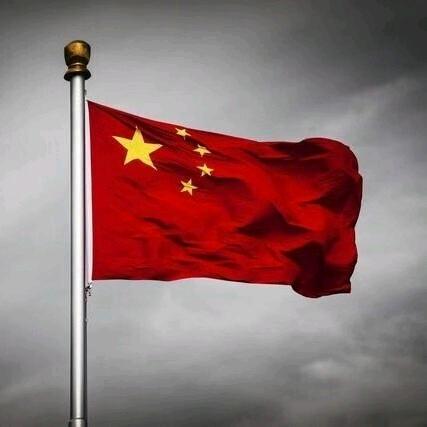 鴻鵠高飛一舉千里