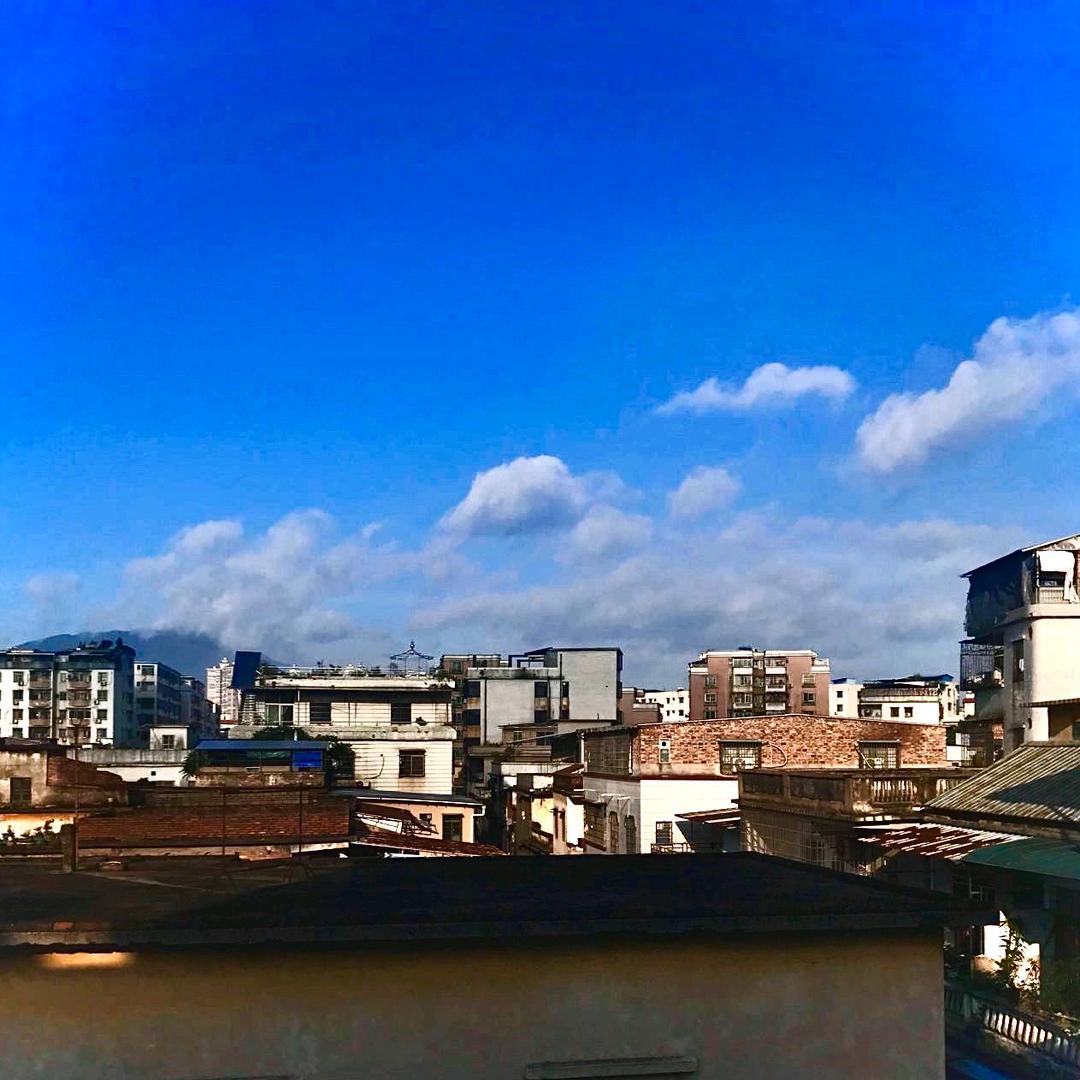 元气豆丁